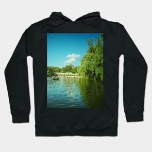 Central Park, Manhattan, NYC Hoodie